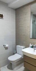 The Lakefront Residences (D22), Condominium #481654151